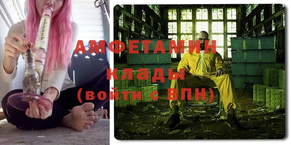 прущие грибы Абаза