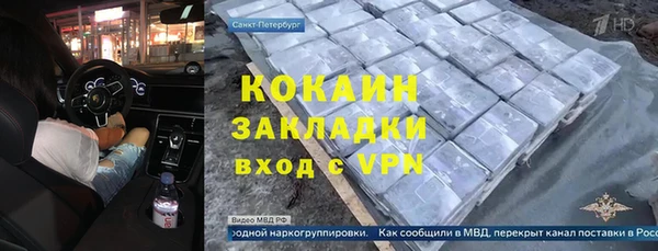прущие грибы Абаза