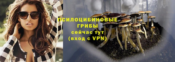 прущие грибы Абаза