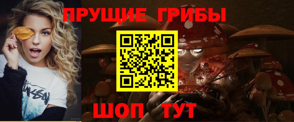 Вичуга  Псилоцибиновые грибы мухоморы  Вход с VPN 
